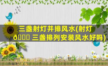 三盏射灯并排风水(射灯 🐝 三盏排列安装风水好吗)